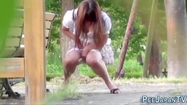 Japanese Whore Peeing in Public Park