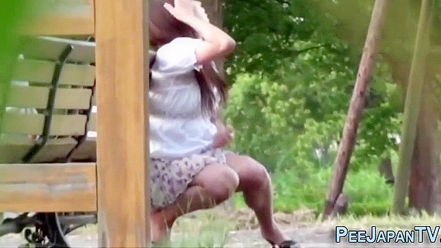 Japanese Whore Peeing in Public Park