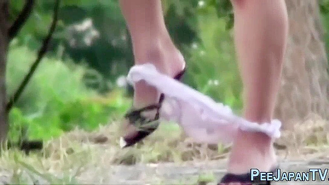 Japanese Whore Peeing in Public Park