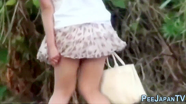 Japanese Whore Peeing in Public Park