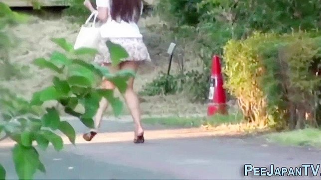 Japanese Whore Peeing in Public Park