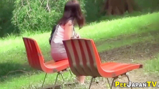 Japanese Man Urinated in Public Park - JAV Video