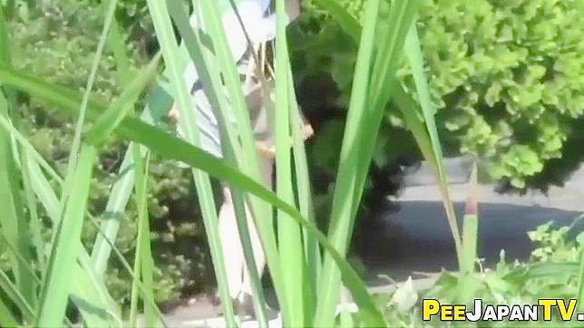 Japanese Man Urinated in Public Park - JAV Video