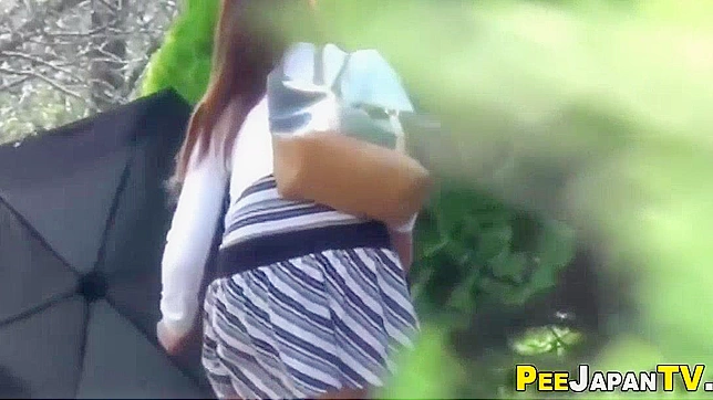 Japanese Man Urinated in Public Park - JAV Video