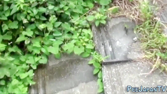 Japanese Pissing Fetish In Weird Public Park