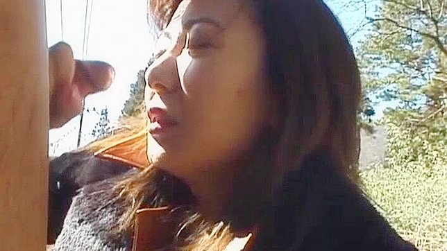 Japanese MILF Maria Yuuki Gives Blowjob in Public