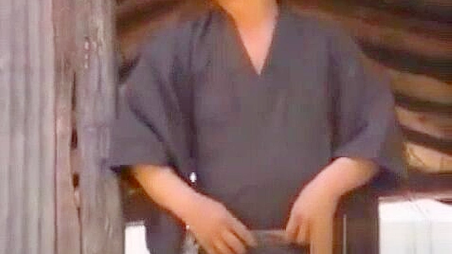 JavMovies - Reiko Akiyama Gets Surprising Fuck in Eastern Porn Video