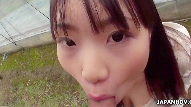 Jav Stranger Blowjob Outdoors with Mikoto Mochida - Exclusive Japanese Porn Video