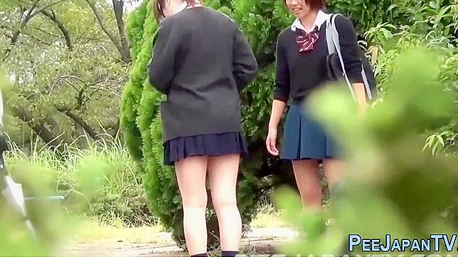 Japanese Piss Fetish Video ~ Piss Park Sexual Adventures