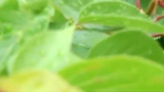 Hottest Japanese Whore Manami Amamiya in Incredible Outdoor Cumshots JAV Clip