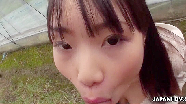 Jav Porn ~ Hot Hairy Mochida Mikoto in Amazing Adult Clip!