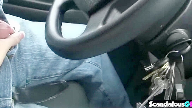 Jav Couple Fashing Tits and Cock in Car ~ Steamy Autoerotic Action!