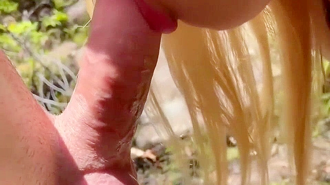 Jav Teen Gets Screwed Hard During Hiking Adventure