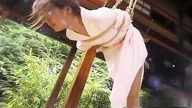 JAV - Japanese Torture with Hottie Outdoors Action