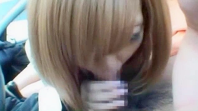 Japanese Pornstar Rina Kato's Best Blowjob in Public JAV Scene