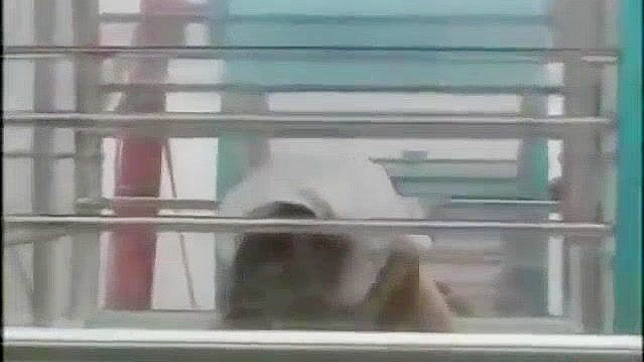 WATCH NOW ~ Japanese Girl Nudity Masturbating In Ferris Wheel - Webcam Jav SEX VIDEO