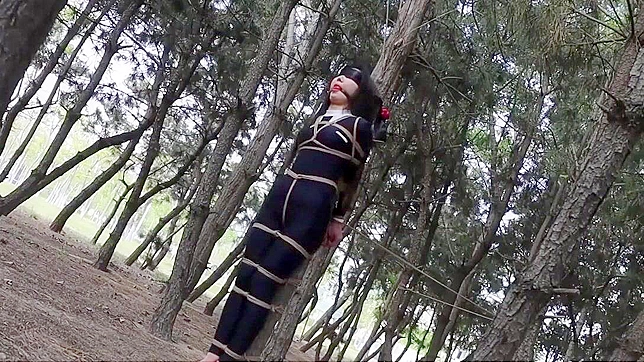 Japanese Beauty and Handsome Man Lost in the Woods - Jav HD Quality