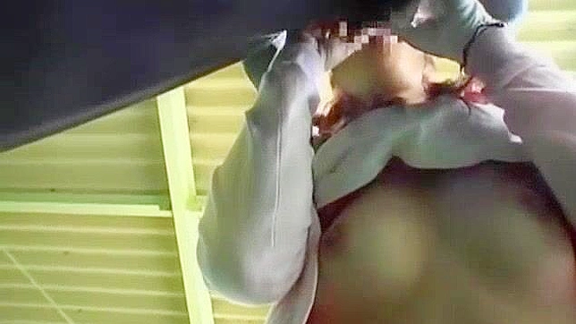 Japanese Girl's Amazing Outdoor JAV Adventure