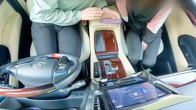 Jaw-Dropping! Married Woman with luscious Curves Plays with Remote Toys during Car Sex with Husband