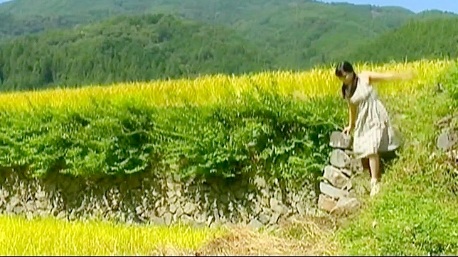 Seducing Rice Field Beauty ~ No Panties, Raw Fucking in the Countryside