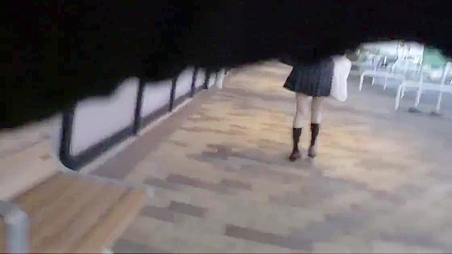 English Language Translation - Japanese Schoolgirl Gets Her Pussy Fingered and Fucked by Older Friend