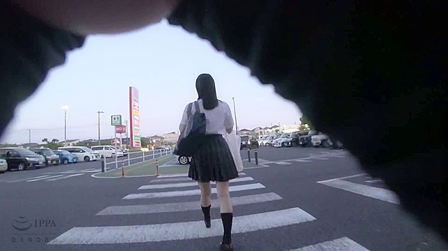 English Language Translation - Japanese Schoolgirl Gets Her Pussy Fingered and Fucked by Older Friend