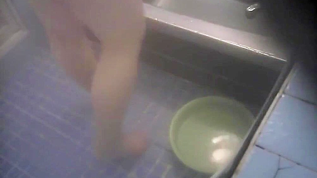 JAV Idol MILF in the Bathroom ~ My Wife's Private Moment