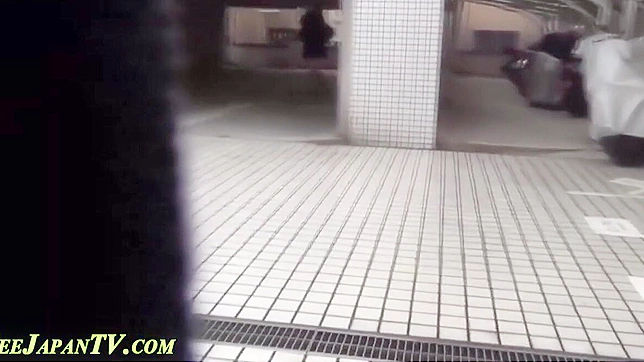 Japanese Hotties Squatting and Peeing - A Snapshot of their Alluring Lifestyle