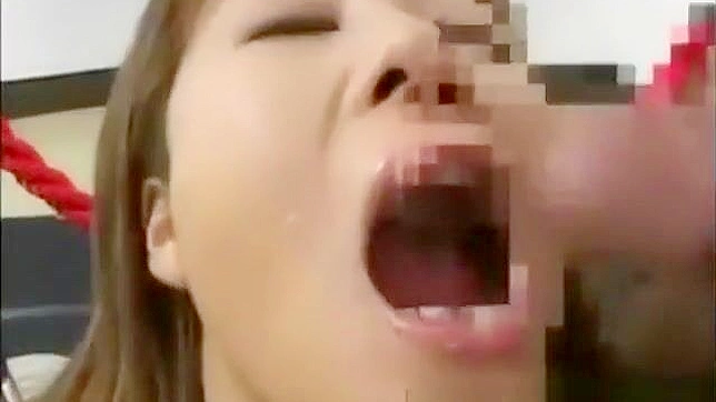 Japanese Bukkake - Asia's Sensual Cum Collector