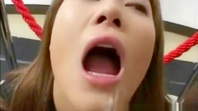 Japanese Bukkake - Asia's Sensual Cum Collector