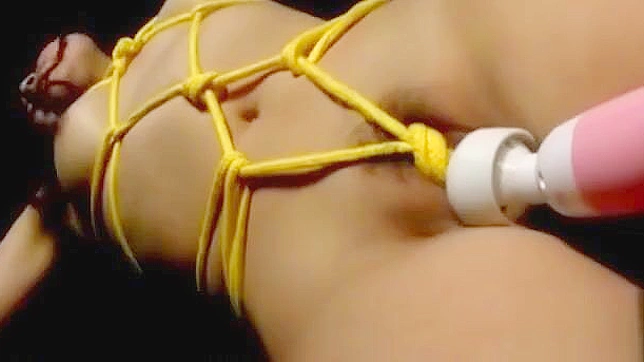 Sexplosion! Suzanna's Ultimate Orgasm with the Hitachi Magic Wand