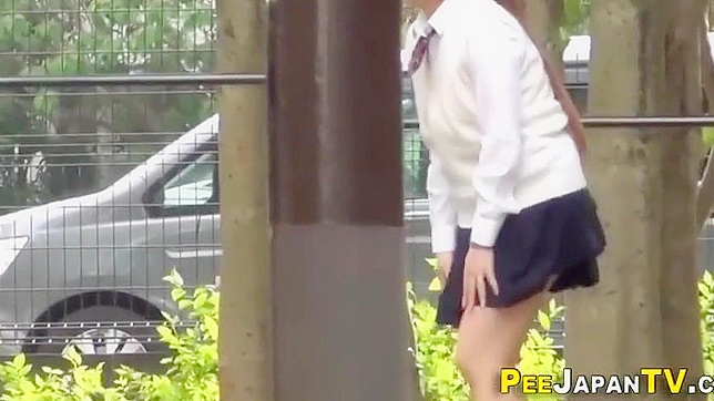 Japan Babe's Public Panty Peek ~ Mesmerizing Wetness Revealed!