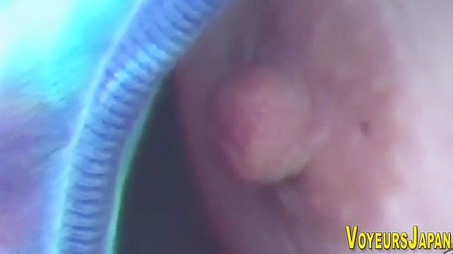 Uncover the Alluring Asian Nips in This Must-Watch Porn Video!