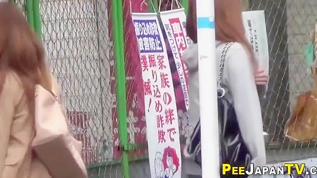 Japanese Lovelies Take a Leak ~ Public Pee Sightings!