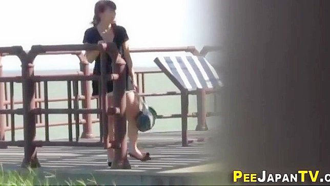 Japanese Beauty Peeing in Public ~ Indulge in an Alluring Experience!