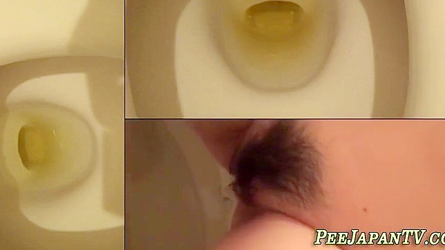 Japanese Beauty Young Girl Peeing in Toilet - Must See!