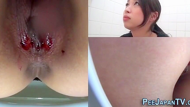 Japanese Porn ~ Luscious Asians Pissing in Public Bathrooms