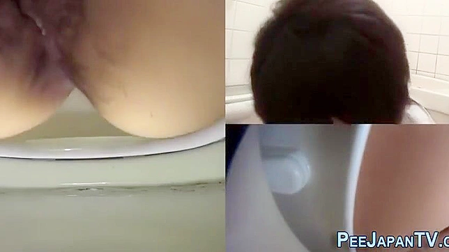 Japanese Porn ~ Luscious Asians Pissing in Public Bathrooms