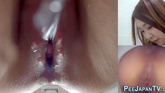 Japanese Porn ~ Luscious Asians Pissing in Public Bathrooms