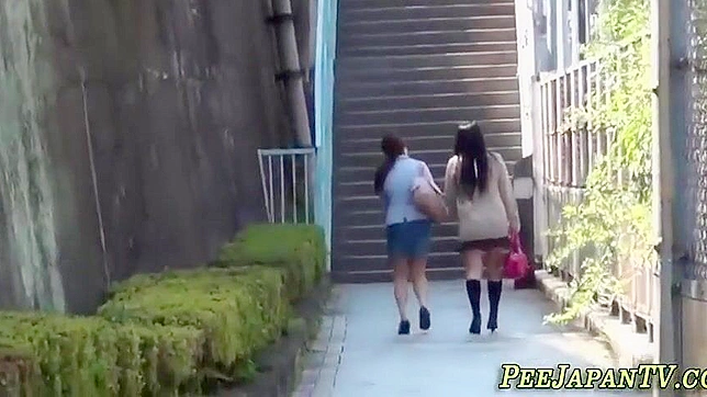 Japanese Porn ~ Gorgeous Amateurs Peeing for Your Pleasure