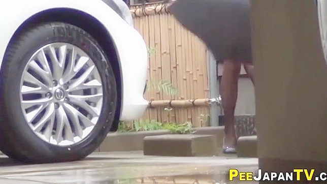 Japanese Beauty Exposes Herself in Public Urination - A Must-Watch!