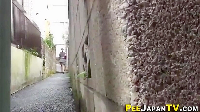 Japanese Beauty Exposes Herself in Public Urination - A Must-Watch!