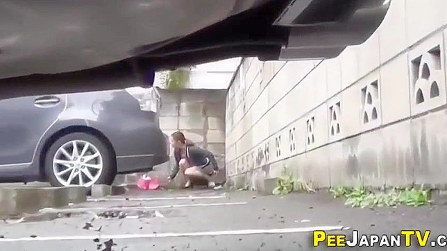 Japanese Beauty Exposes Herself in Public Urination - A Must-Watch!