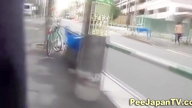 Japanese Women Peeing in Public ~ Exploring the Fetish