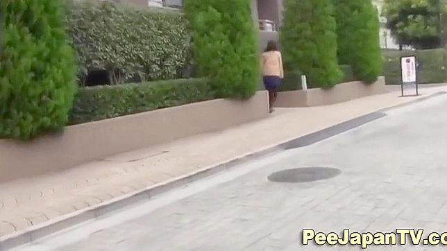 Japanese Women Peeing in Public ~ Exploring the Fetish