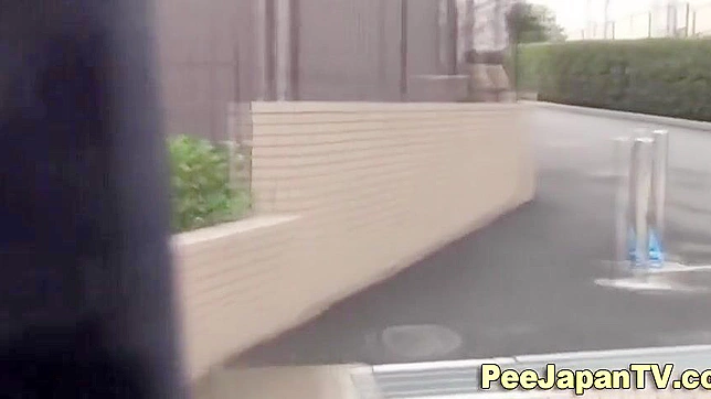 Japanese Women Peeing in Public ~ Exploring the Fetish