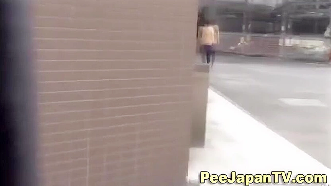 Japanese Women Peeing in Public ~ Exploring the Fetish