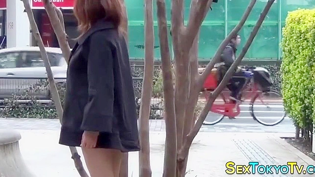 Welcome to the World of Japanese Porn ~ Luscious Young Babe Reveals Her Enticing Snatch!