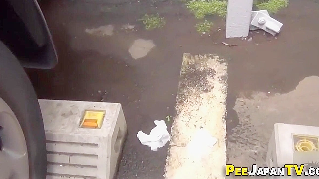 Japanese Women and Their Secret Peeing Adventures Exposed in a Carpark!