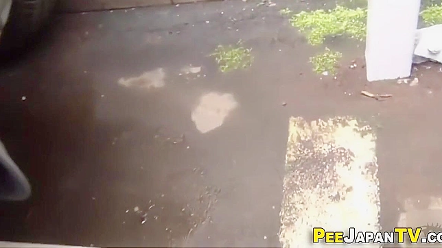 Japanese Women and Their Secret Peeing Adventures Exposed in a Carpark!